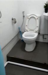 Chun Tin Court (D21), Apartment #432676941